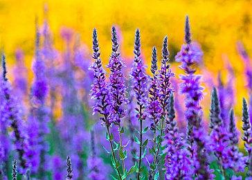 银河恶魔城新作《Winds of Arcana: Ruination》试玩发布